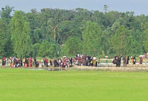 rohingya_under_attack